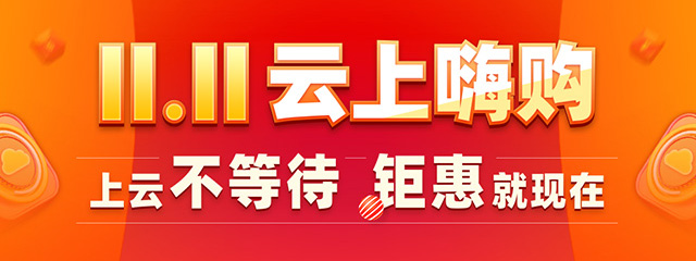 11.11 云上嗨购
